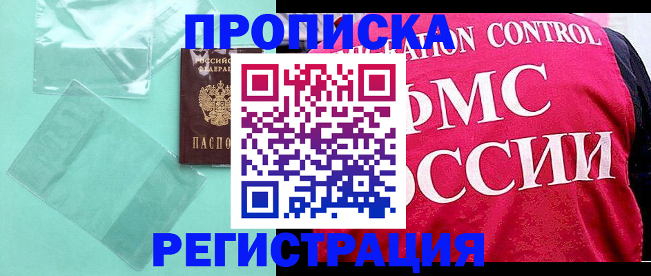 прописка 2025 в Сольцах